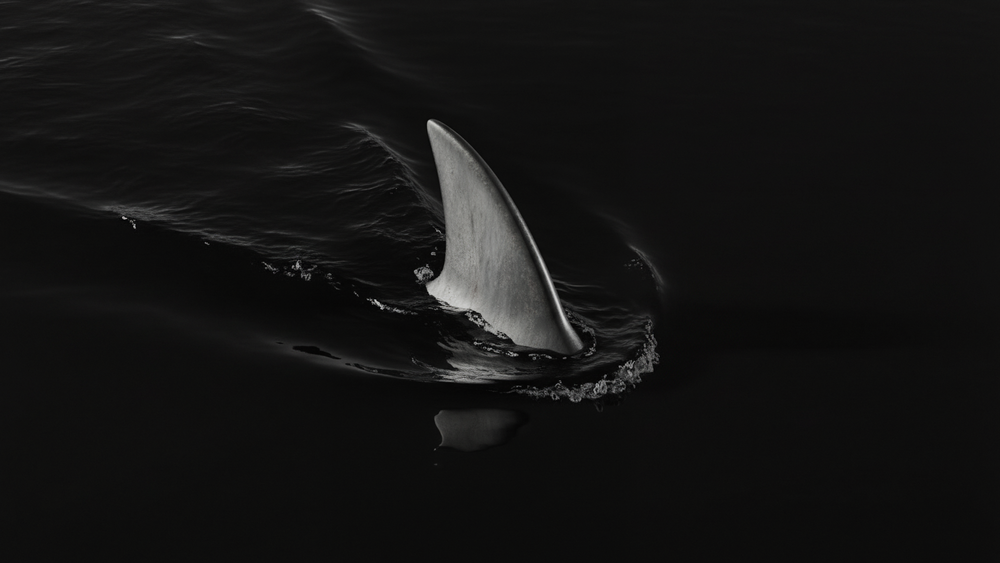 P2P Phishing: How Scammers Fake Exchange Notifications