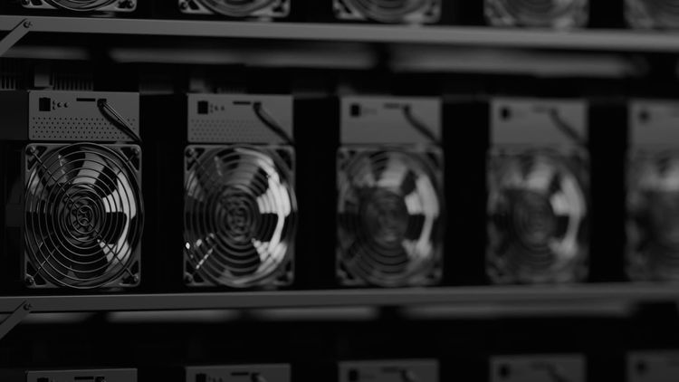 Kryptex: как установить и пользоваться