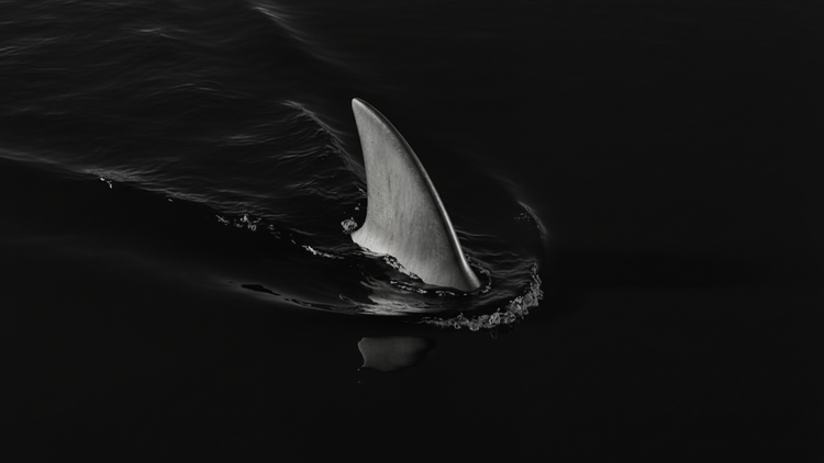 P2P Phishing: How Scammers Fake Exchange Notifications